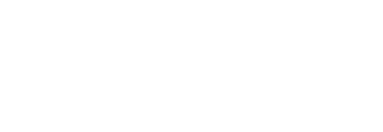 FLIR Logo - Download HD Click Here To Download The Flir Logo In Jpg Format