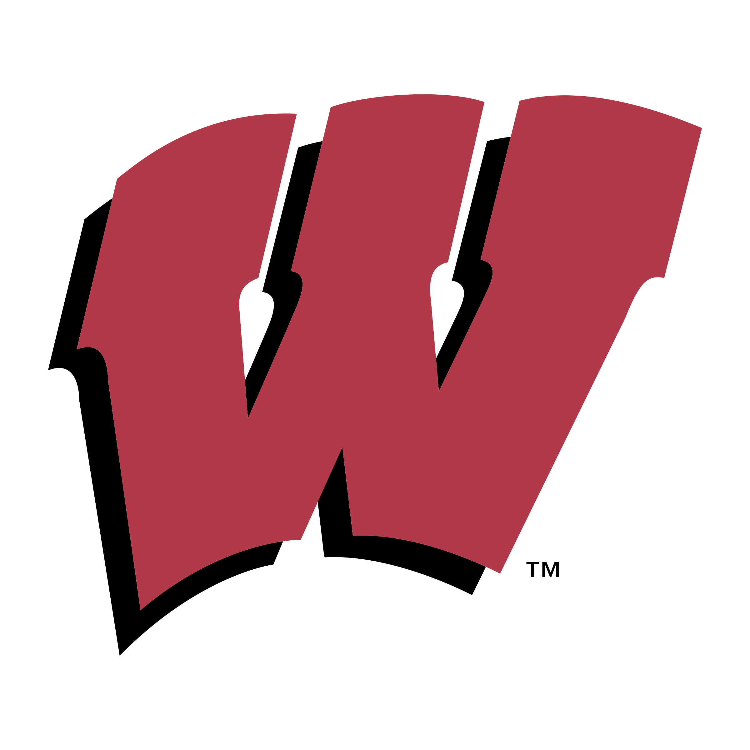 Wisconson Logo - wisconsin-badgers-logo-png-transparent - 802 Lacrosse