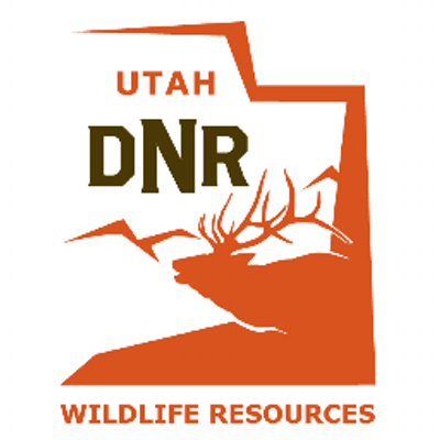 DWR Logo - DWR Logo's News