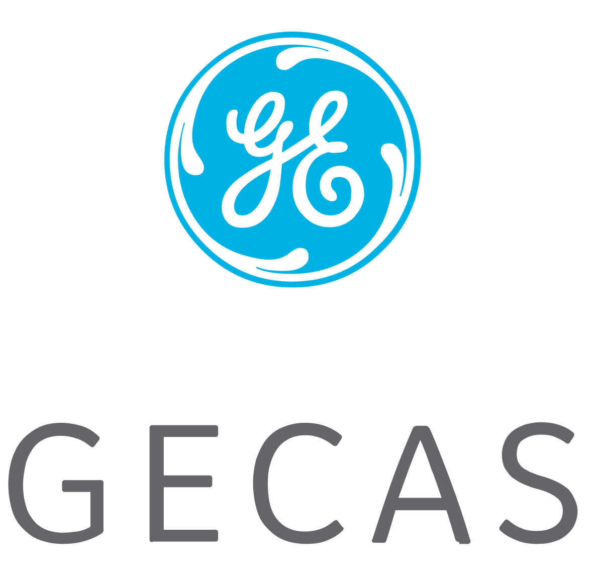 Gecas Logo - GE Capital Aviation Services