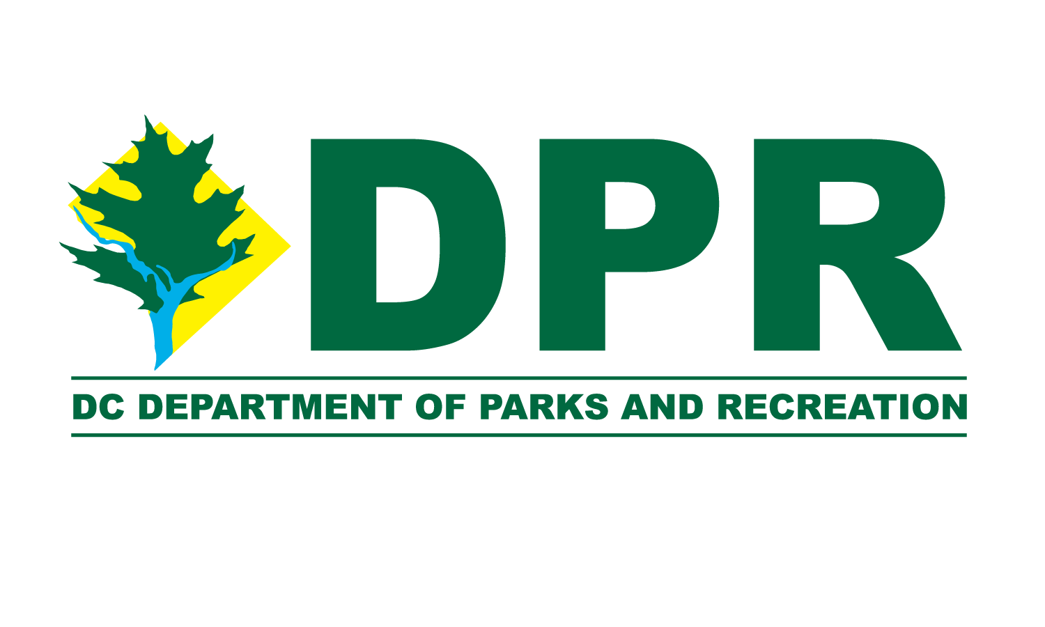 DPR Logo - DowntownDC