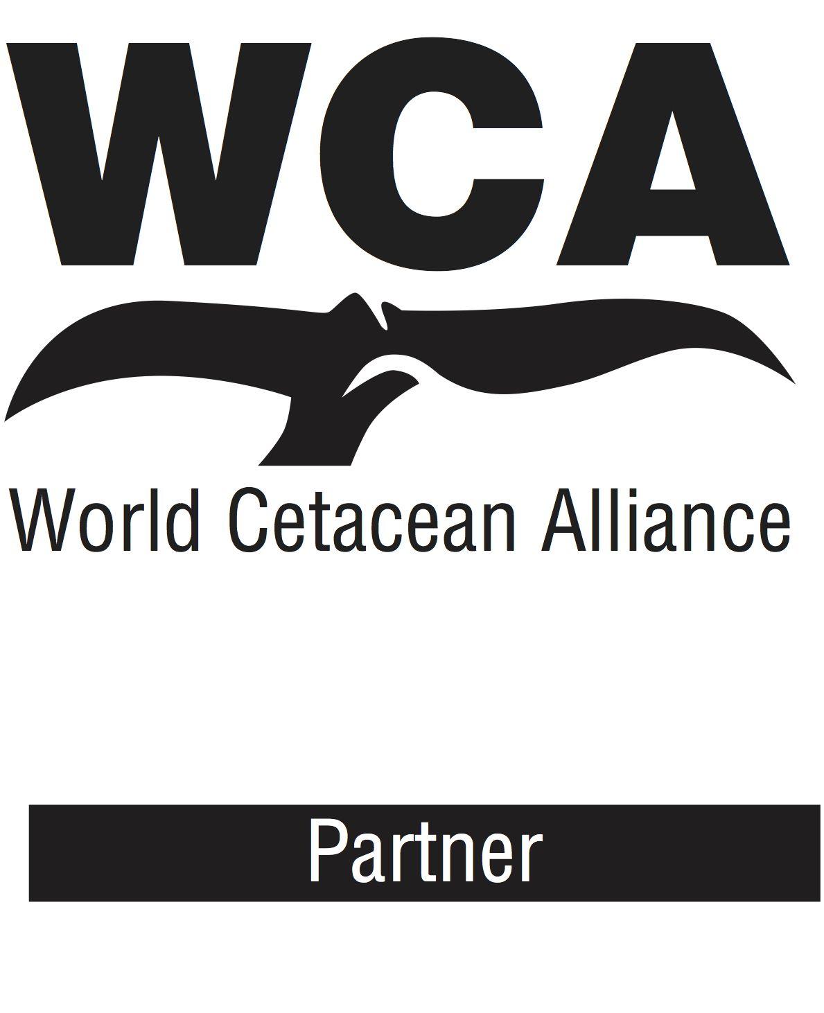 WCA Logo - WCA logo