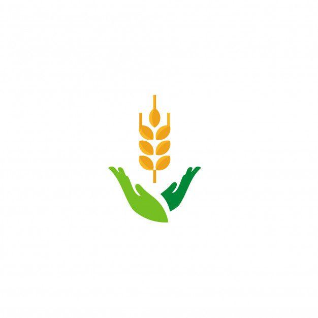 Rice Logo - Rice logo Vector | Premium Download