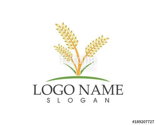 Rice Logo - Rice logo design vector