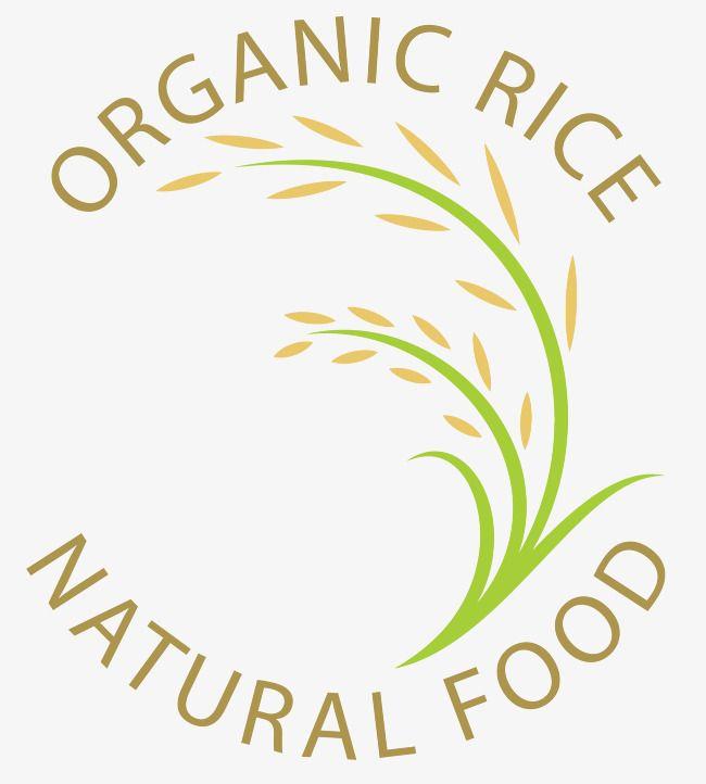 Rice Logo - Organic Rice Logo, Logo Vector, Rice, Rice Bran PNG and Vector for ...