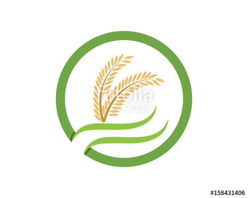 Rice Logo - Agriculture rice Logo