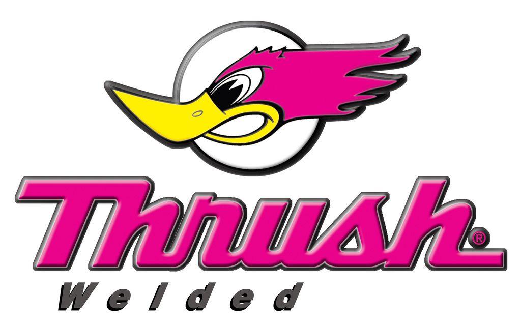 Thrush Logo - Thrush Muffle Bird (Research Image). Found on Google Image
