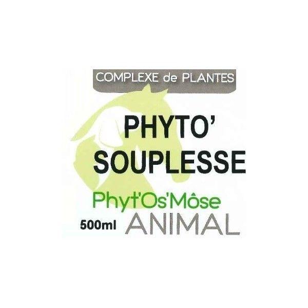 Phyto Logo - phyto flexibility