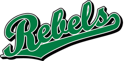 Rebels Logo - Team Pride: Rebels team script logo