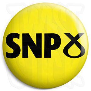 Election Logo - SNP Logo 25mm Button Badge - General Election Scottish National ...