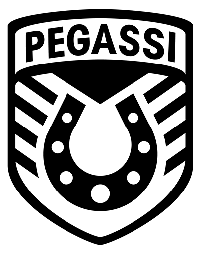 Pegassi Logo - Pegassi