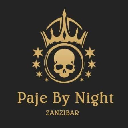 Night Logo - the logo in peace Paje