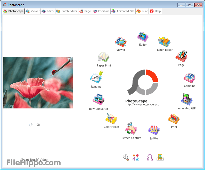 FileHippo Logo - Download Photoscape 3.7 Photo Editor for PC Windows - FileHippo.com