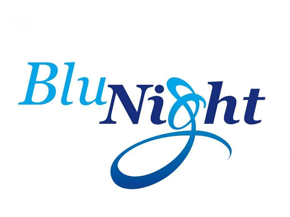 Night Logo - Corporate identity. Indicate Brand Managers