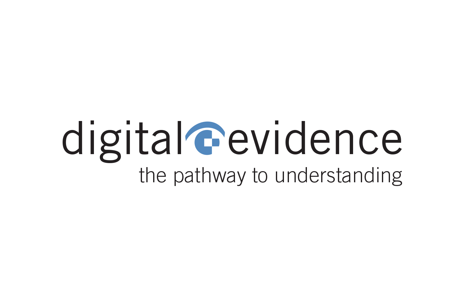 Evidence Logo - Logo Design: Digital Evidence. Graphic Design Portfolio. Maida