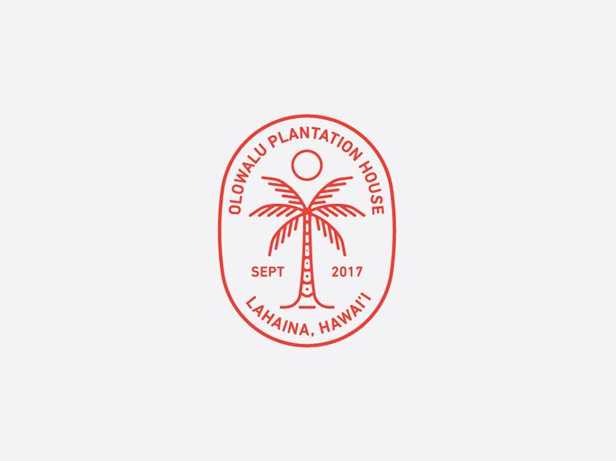 Coconut Logo - coconut tree logo