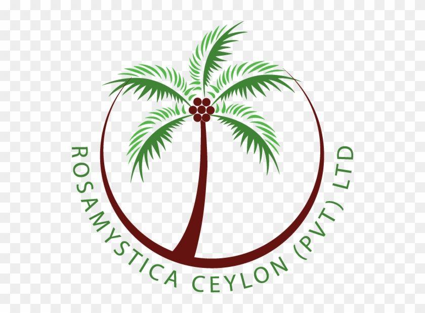 Coconut Logo - Rosamystica Ceylon Coconut Oil Logo Transparent PNG