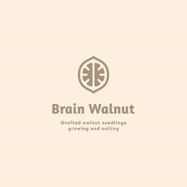 Walnut Logo - logo #design #thedesigntalks #branding #walnut #nut #shop #market ...