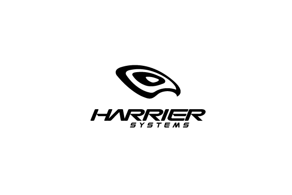 Harrier Logo - Harrier Systems Logo Design | Logo Cowboy