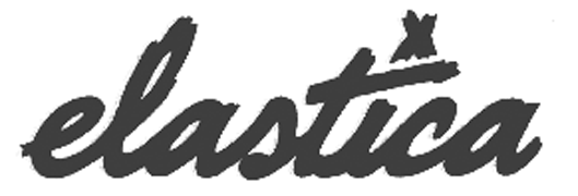 Elastica Logo - Zebra Logo Ideas | Elliot Preece 7185 Research and Planning G324