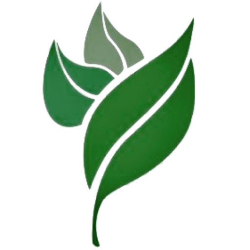 Leaf Logo - cropped-leaf-logo.png – Community Health & Healing