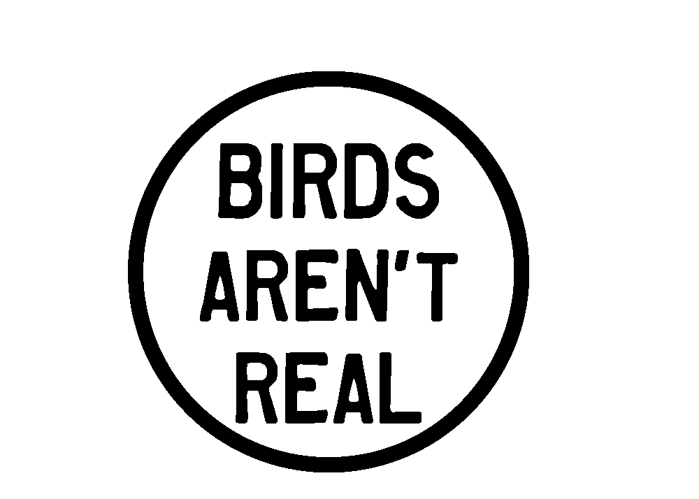 Real Logo - the square sticker – Birds Aren't Real