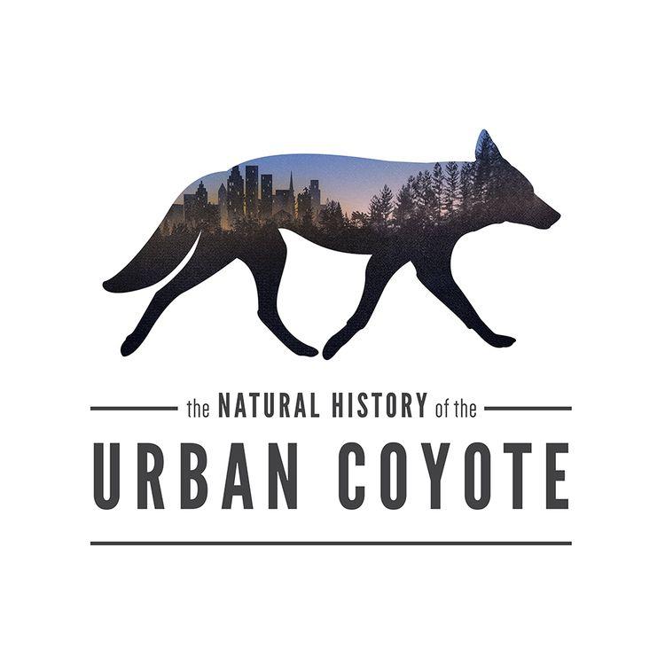 Cayoty Logo - Put a coyote on it! Announcing our new urban coyote logo and shop ...