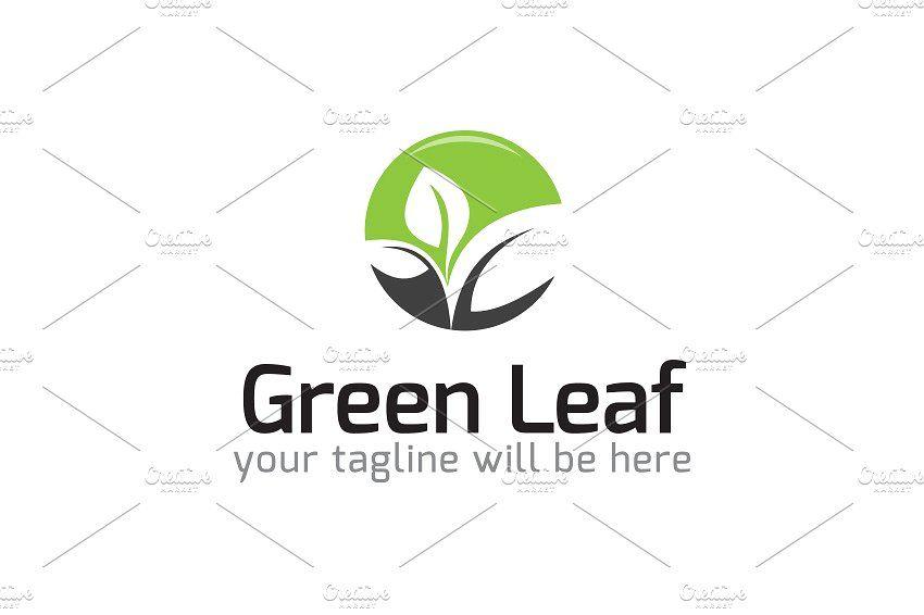 Green Leaf Logo - Eco friendly logo Photos, Graphics, Fonts, Themes, Templates ...