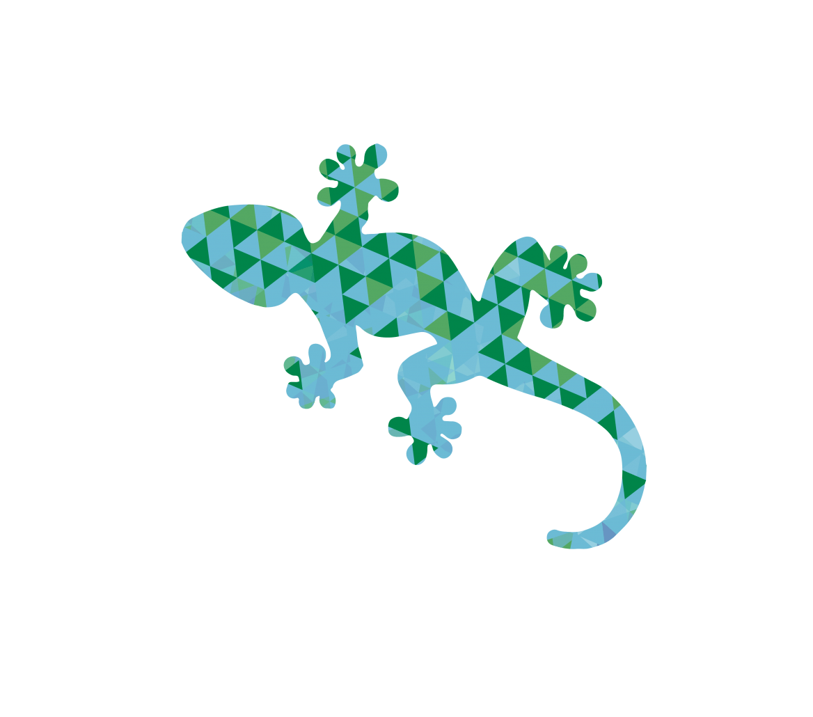 Gecko Logo - Gecko logo - Gemstone Climbing Center