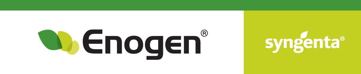 Enogen Logo - Enogen corn results in premium to farmers | News | agupdate.com