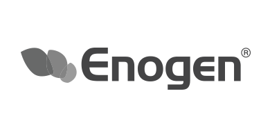 Enogen Logo - enogen-grey - Iowa Speedway