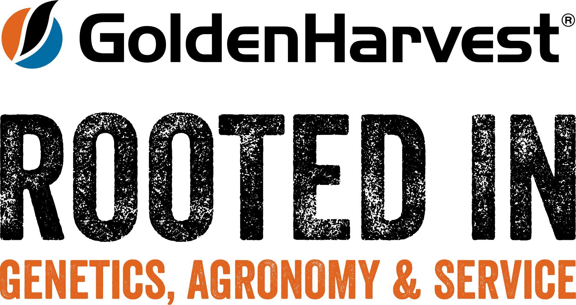 Golden harvest