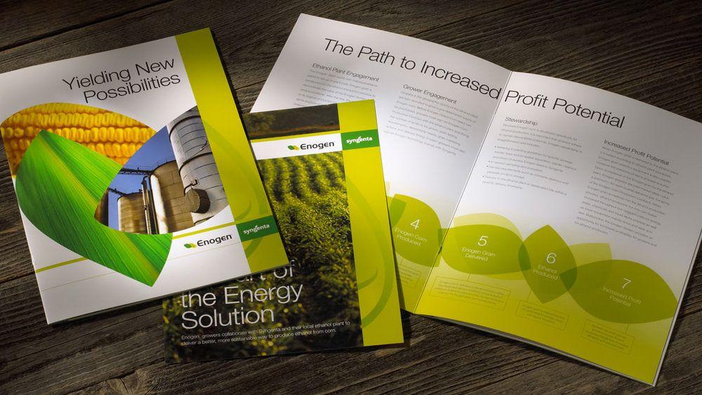 Enogen Logo - Syngenta Enogen Case Study — Franke+Fiorella