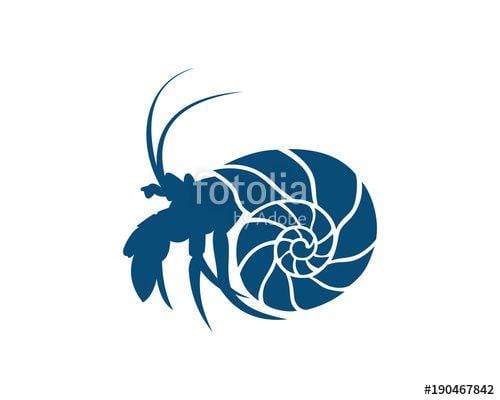 Conch Logo - Blue Beautiful Sea Conch Illustration Symbol Logo Vector