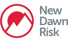 Risk Logo - New Dawn Risk Group