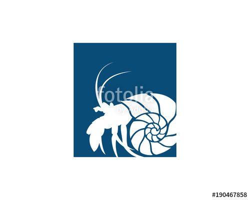 Conch Logo - Square Beautiful Sea Conch Illustration Symbol Flat Logo Vector ...