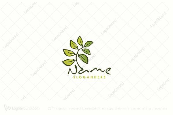 Leaf Logo - Whimsical Leaf Logo