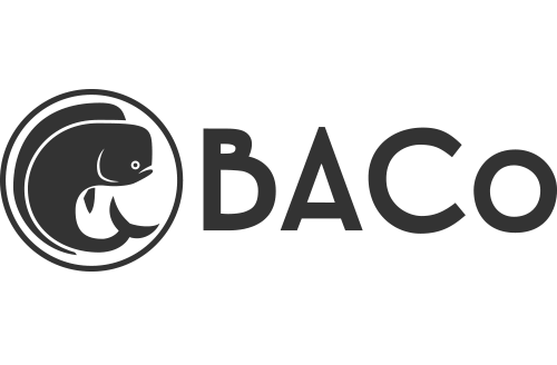 Baja Logo - Your Baja Adventure Awaits | Baja Adventure Co. | La Paz | Baja Mexico