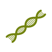 Genetics Logo - Genetics and Genomics courses - Transmitting Science