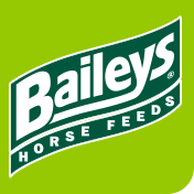 Bailey's Logo - Homepage