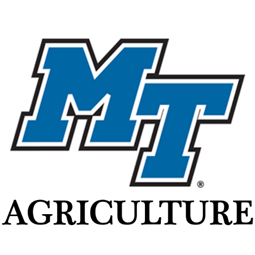 MTSU Logo - MT Junior Broiler Program. Middle Tennessee State University