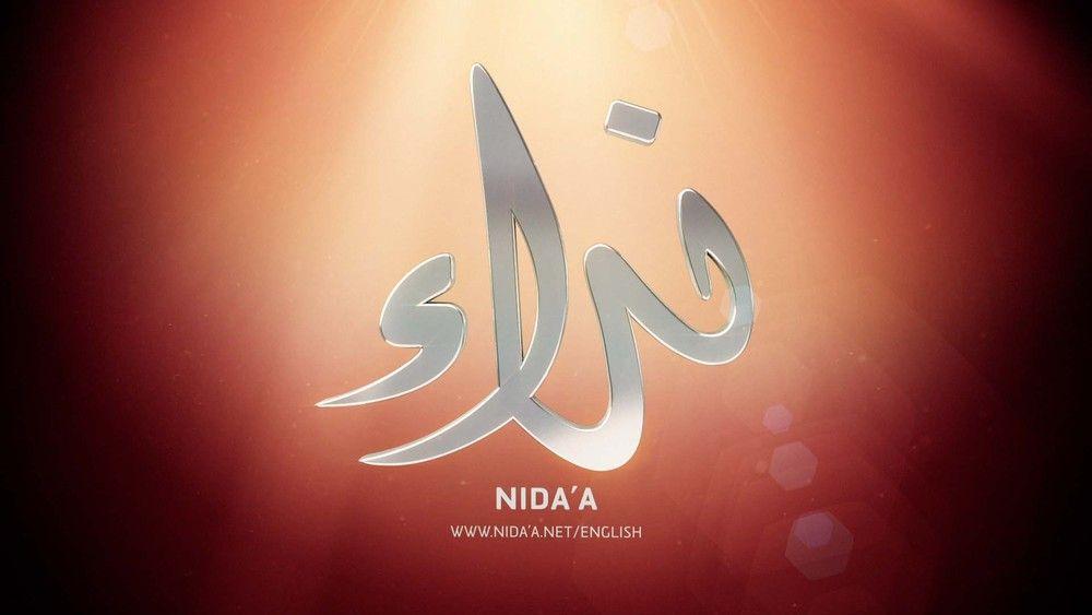 Nida Logo - NIDA TV LOGO — Chris Gaughran
