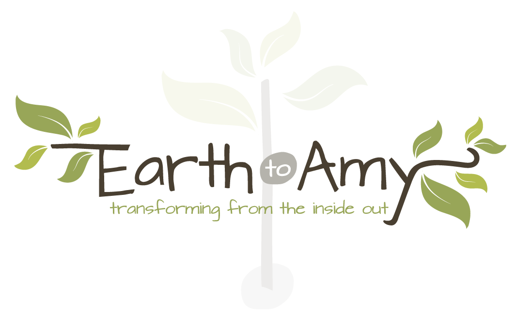 Amy Logo - Earth to Amy Logo