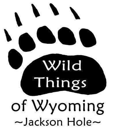 Wyoming Logo - Wild Things of Wyoming Logo of Wild Things of Wyoming