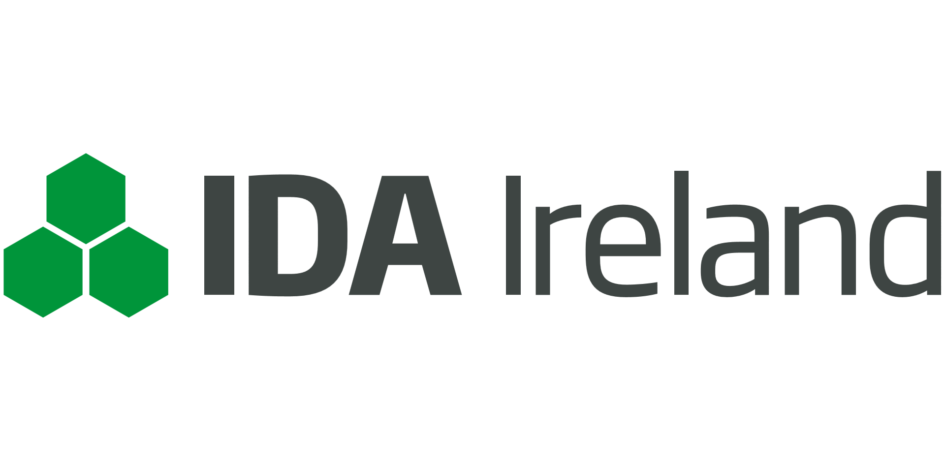 Ida Logo - News | University College Cork