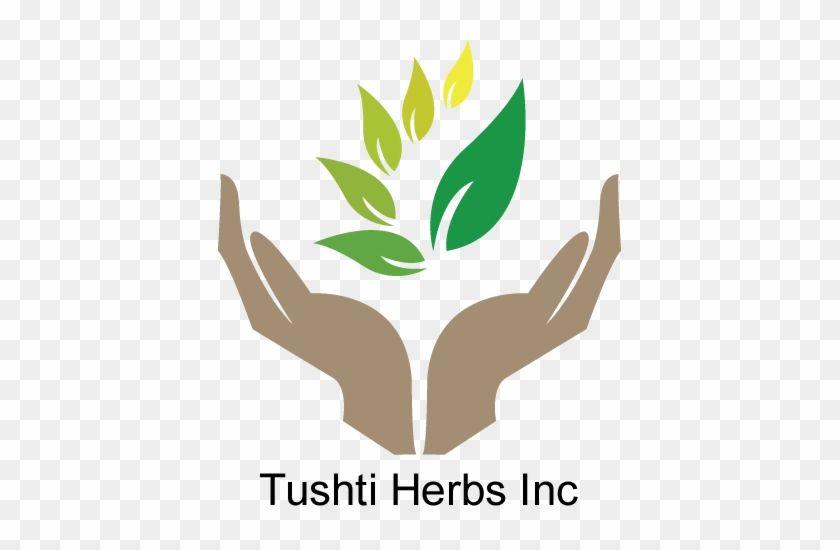 Herbal Logo - Herbal Logo Transparent PNG Clipart Image Download