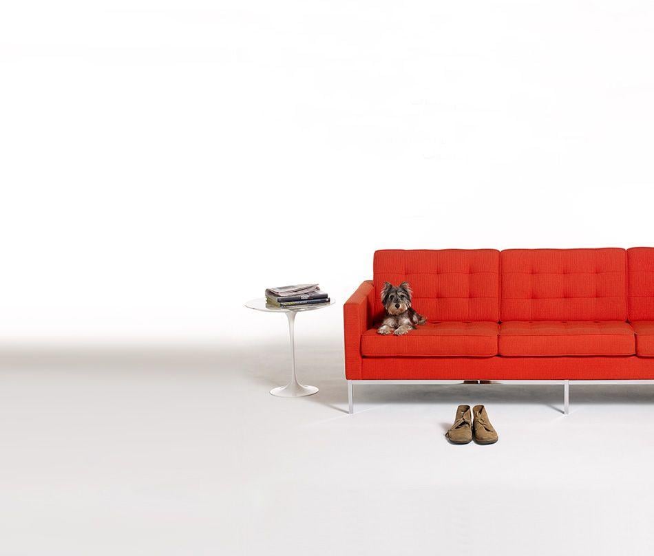 Knoll Logo - Knoll - Modern Furniture Design for the Office & Home