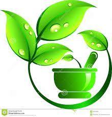 Herbal Logo - Best LOGO image. Healing herbs, Herbal medicine, Herbalism