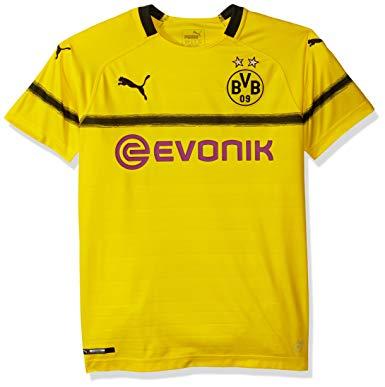 Evonik Logo - PUMA Men's BVB Cup Shirt Replica Jr with Evonik Logo at Amazon Men's ...