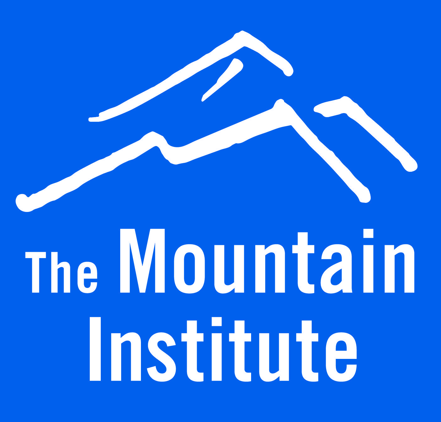 TMI Logo - TMI Logo Pantone300 Mountain Institute